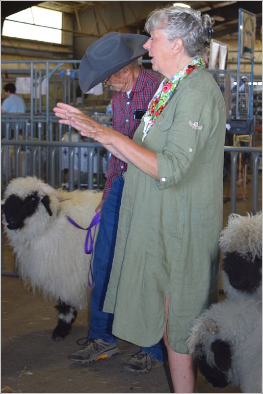  Marita Tauni, Valais Blacknose Judge.